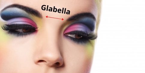 glabella